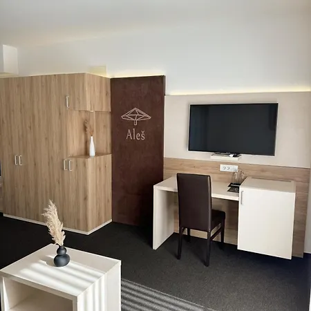 Hisa Ales 3* Kranj