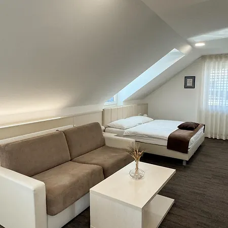 ゲストハウス Hisa Ales クラーニ