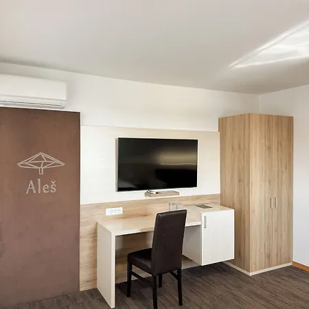 Πανσιόν Hisa Ales 4*