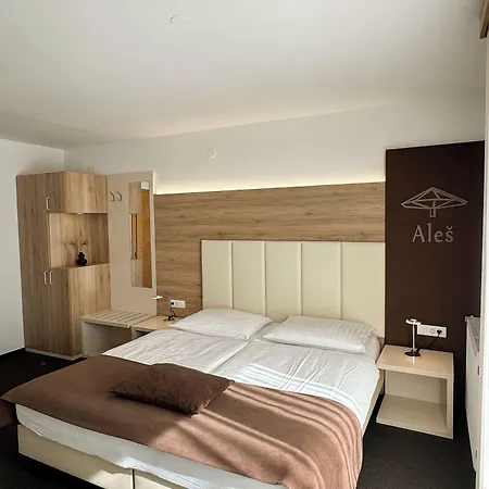 Guest house Hisa Ales
