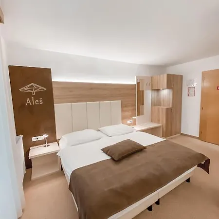 Hisa Ales Guest house 3*