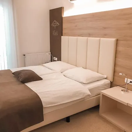 Hisa Ales Pensión 4*