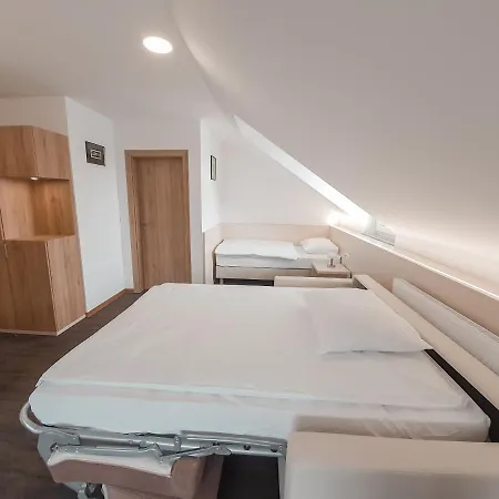 Guest house Hisa Ales 3*