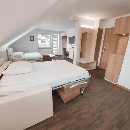 Hisa Ales Guest house Kranj