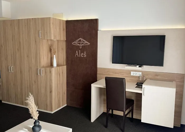 Hisa Ales 4* Kranj