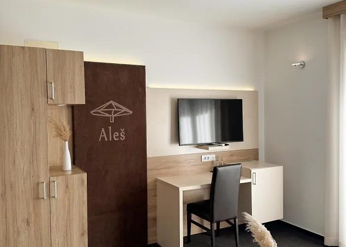 Hisa Ales Guest house