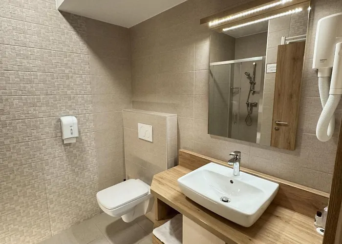 Guest house Hisa Ales 4*