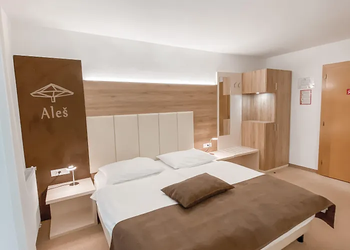 Hisa Ales 4* Kranj