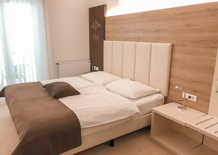 Hisa Ales Guest house 4*